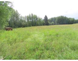 2217 Township 560, Rural Lac Ste  Anne County, AB T0E1V0 Photo 25