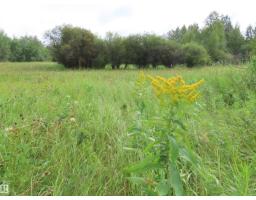 2217 Township 560, Rural Lac Ste  Anne County, AB T0E1V0 Photo 29