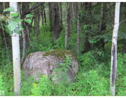 2217 Township 560, Rural Lac Ste  Anne County, AB T0E1V0 Photo 32