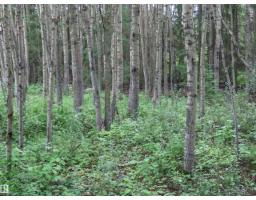 2217 Township 560, Rural Lac Ste  Anne County, AB T0E1V0 Photo 33