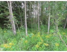 2217 Township 560, Rural Lac Ste  Anne County, AB T0E1V0 Photo 36
