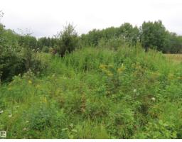 2217 Township 560, Rural Lac Ste  Anne County, AB T0E1V0 Photo 37