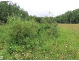 2217 Township 560, Rural Lac Ste  Anne County, AB T0E1V0 Photo 38