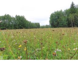2217 Township 560, Rural Lac Ste  Anne County, AB T0E1V0 Photo 39