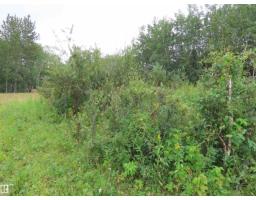 2217 Township 560, Rural Lac Ste  Anne County, AB T0E1V0 Photo 40