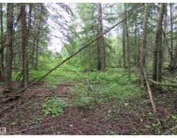 2217 Township 560, Rural Lac Ste  Anne County, AB T0E1V0 Photo 41