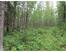 2217 Township 560, Rural Lac Ste  Anne County, AB T0E1V0 Photo 42