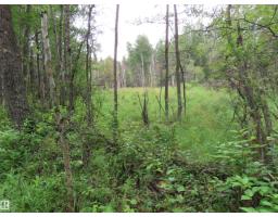 2217 Township 560, Rural Lac Ste  Anne County, AB T0E1V0 Photo 44