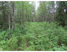 2217 Township 560, Rural Lac Ste  Anne County, AB T0E1V0 Photo 45