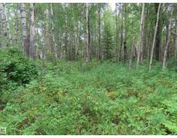 2217 Township 560, Rural Lac Ste  Anne County, AB T0E1V0 Photo 46