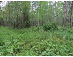2217 Township 560, Rural Lac Ste  Anne County, AB T0E1V0 Photo 51