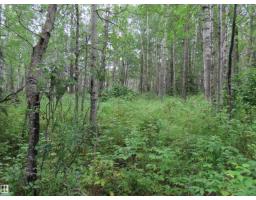 2217 Township 560, Rural Lac Ste  Anne County, AB T0E1V0 Photo 52