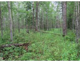 2217 Township 560, Rural Lac Ste  Anne County, AB T0E1V0 Photo 53