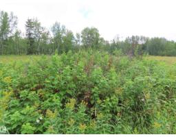 2217 Township 560, Rural Lac Ste  Anne County, AB T0E1V0 Photo 56