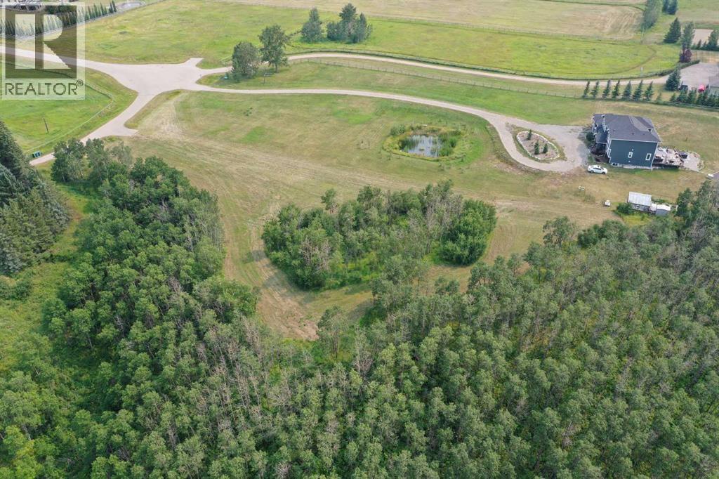 0 303 Avenue West - Photo 9