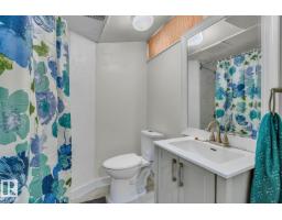 221 Harrison Dr Nw Nw, Edmonton, AB T5A2X5 Photo 23