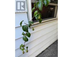 175 Celina Street, Oshawa, ON L1H4N3 Photo 44
