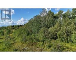 Pt Lt 24 Con 3 Blount Township, Cochrane, ON P0L1C0 Photo 11
