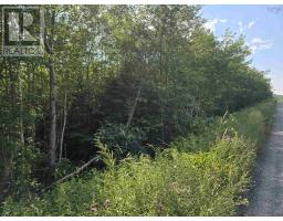 Lot 2 Highway 101, Ellershouse, NS B0N2T0 Photo 13