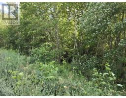 Lot 2 Highway 101, Ellershouse, NS B0N2T0 Photo 12