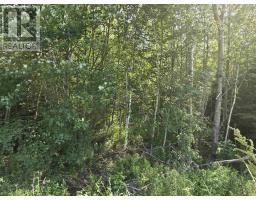 Lot 2 Highway 101, Ellershouse, NS B0N2T0 Photo 14