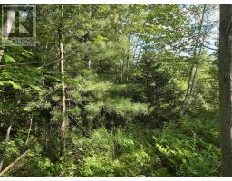 Lot 2 Highway 101, Ellershouse, NS B0N2T0 Photo 17