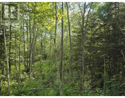 Lot 2 Highway 101, Ellershouse, NS B0N2T0 Photo 16