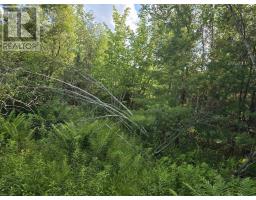 Lot 2 Highway 101, Ellershouse, NS B0N2T0 Photo 21