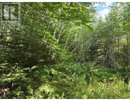 Lot 2 Highway 101, Ellershouse, NS B0N2T0 Photo 15