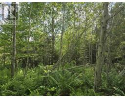 Lot 2 Highway 101, Ellershouse, NS B0N2T0 Photo 18