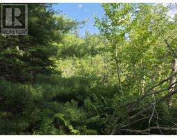 Lot 2 Highway 101, Ellershouse, NS B0N2T0 Photo 19