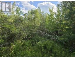 Lot 2 Highway 101, Ellershouse, NS B0N2T0 Photo 20