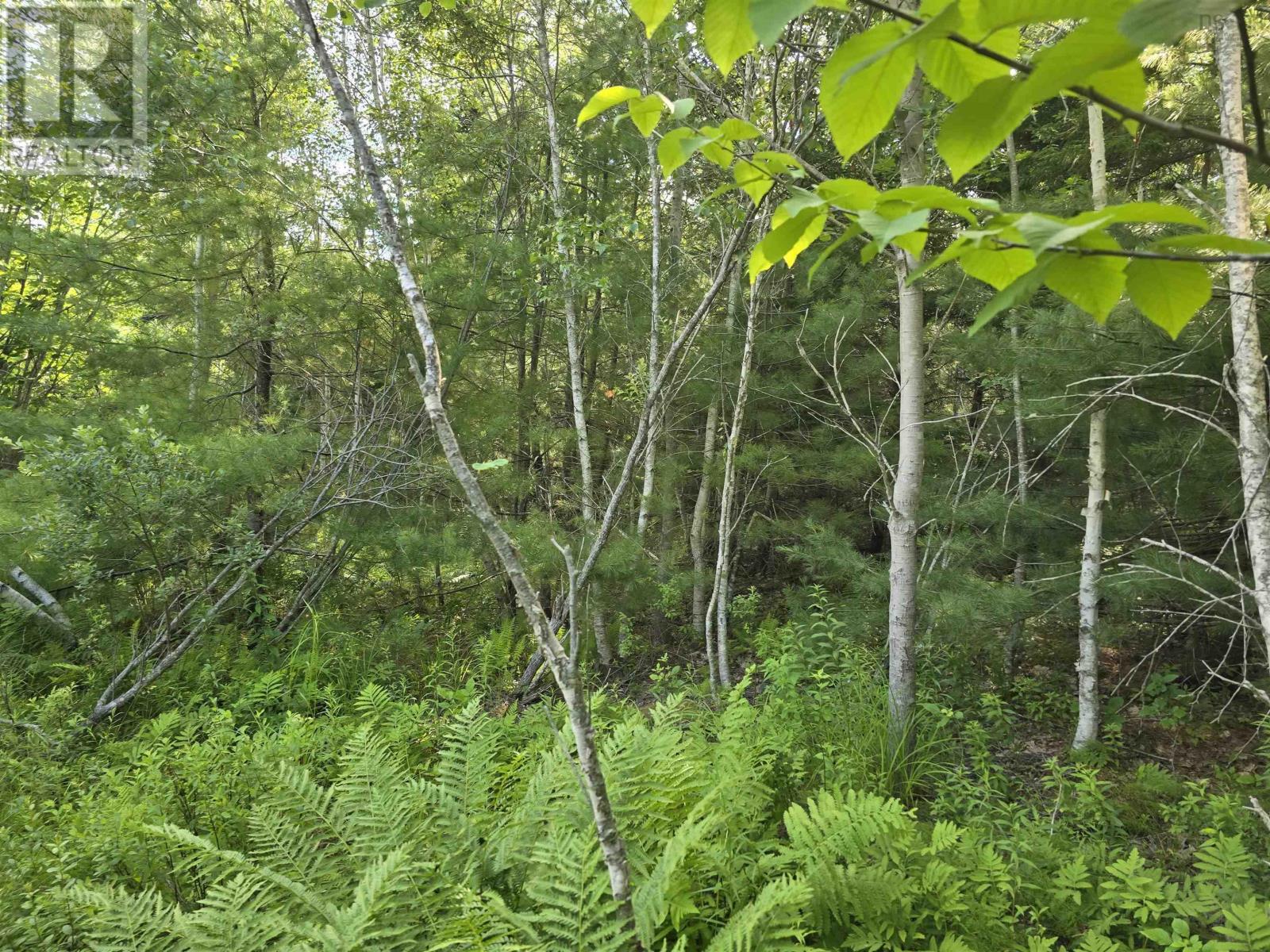 Property 22 of 23 of Lot 2 Highway 101