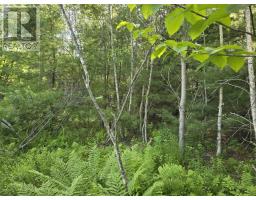Lot 2 Highway 101, Ellershouse, NS B0N2T0 Photo 22