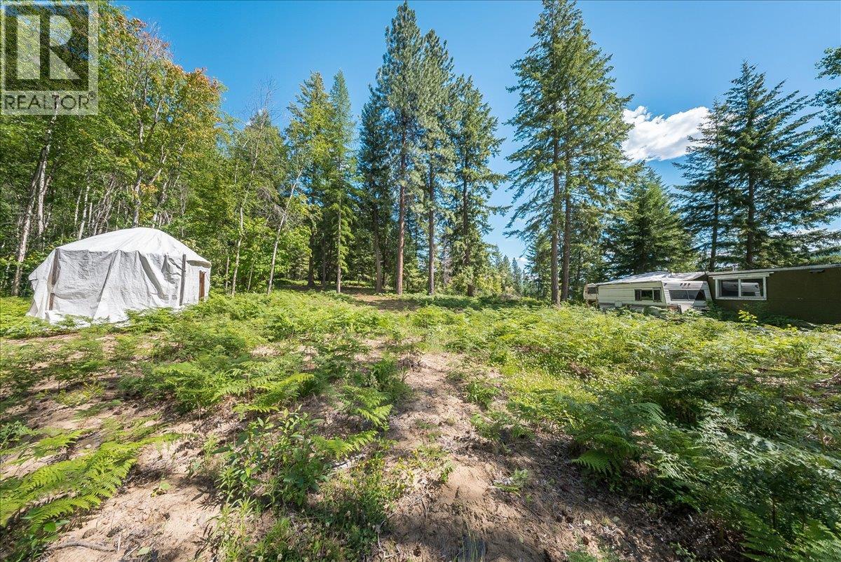 1385 Pass Creek Road - 13