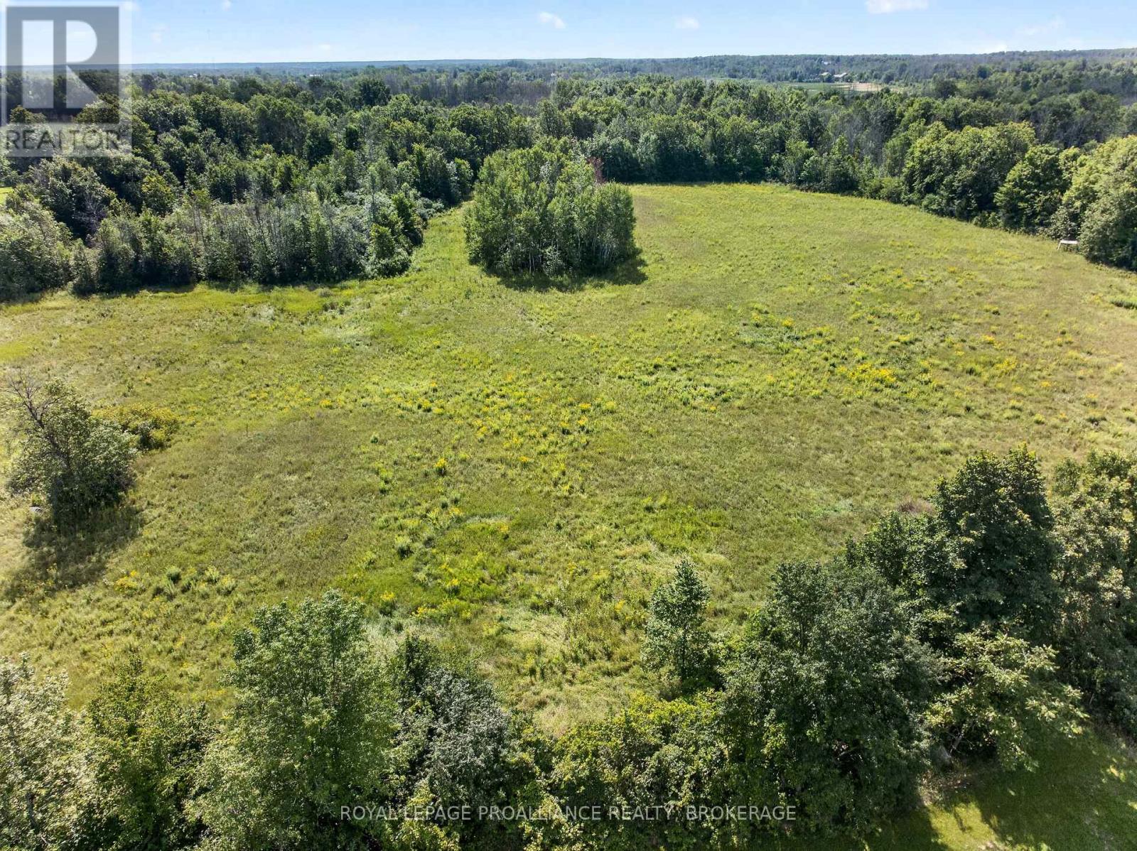 164 JACKSON ROAD - 23