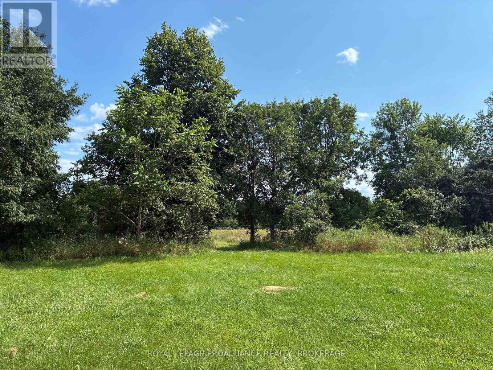 164 JACKSON ROAD - 29