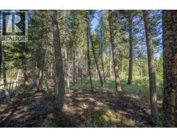 5472 Canim Hendrix Lake Road, 100 Mile House, BC V0K2E0 Photo 36