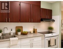 107 - 541 Blackthorn Avenue, Toronto, ON M6M5A6 Photo 9