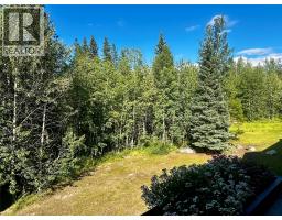185 Chamberlain Crescent Unit# 309, Tumbler Ridge, BC V0C2W0 Photo 10