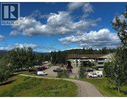 185 Chamberlain Crescent Unit# 309, Tumbler Ridge, BC V0C2W0 Photo 11