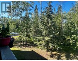 185 Chamberlain Crescent Unit# 309, Tumbler Ridge, BC V0C2W0 Photo 9