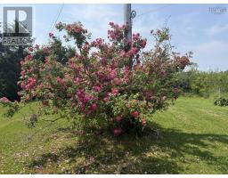 3281 Highway 6, Waldegrave, NS B0K1V0 Photo 30