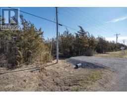695 County Road 7, Prince Edward County, ON K0K2T0 Photo 10