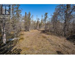 695 County Road 7, Prince Edward County, ON K0K2T0 Photo 12