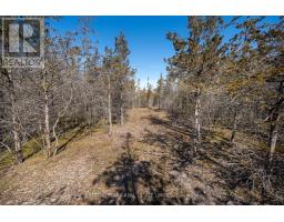 695 County Road 7, Prince Edward County, ON K0K2T0 Photo 13