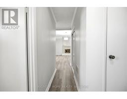 4141 Trellis Crescent, Mississauga, ON L5L2M1 Photo 24
