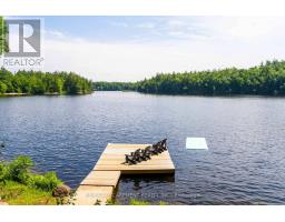1009 Fogo Street, Muskoka Lakes, ON P0C1H0 Photo 43