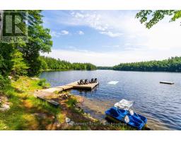 1009 Fogo Street, Muskoka Lakes, ON P0C1H0 Photo 44