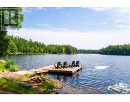 1009 Fogo Street, Muskoka Lakes, ON P0C1H0 Photo 45